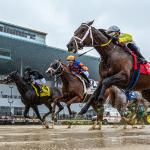 Betting Belmont at the Big A: Key Trends to Know for the Upcoming Fall Meet